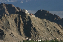 Image00129