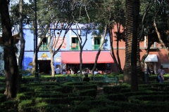 mex_tag2_00066