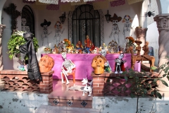 mex_tag2_00067