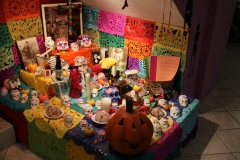 mex_tag2_00068
