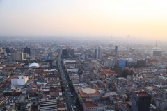 mex_tag2_00073