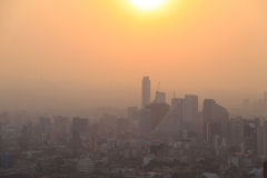 mex_tag2_00074