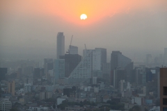 mex_tag2_00077