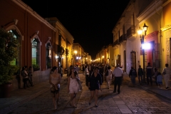 mex_tag8_00051