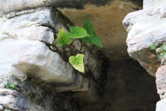 mex_tag13_00022