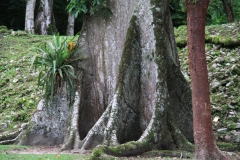 mex_tag13_00043