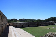mex_tag15_00042
