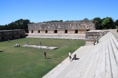 mex_tag15_00043