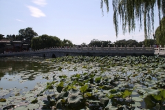 Peking_01_00029