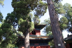 Peking_01_00046
