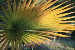 chl2012_01_0002