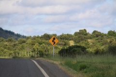 chl2012_01_0004