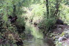 chl2012_01_0010