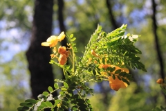chl2012_01_0012