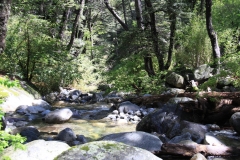 chl2012_01_0020
