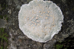 chl2012_01_0021