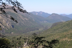CHL2012_03_0003