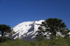 CHL2012_05_0011