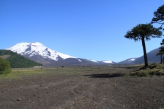CHL2012_05_0018