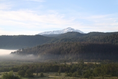 CHL2012_06_0002