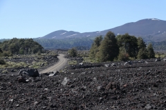 CHL2012_06_0012