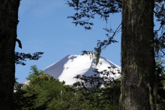 CHL2012_06_0018