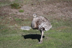 CHL2012_10_0011
