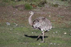 CHL2012_10_0012