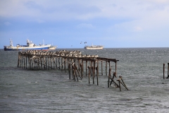 CHL2012_15_0065