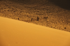 NAM_T12_0028
