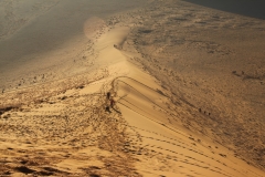 NAM_T12_0035