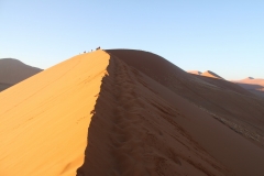NAM_T12_0040