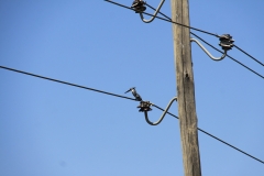 Aeth_2018_Tag02_0020