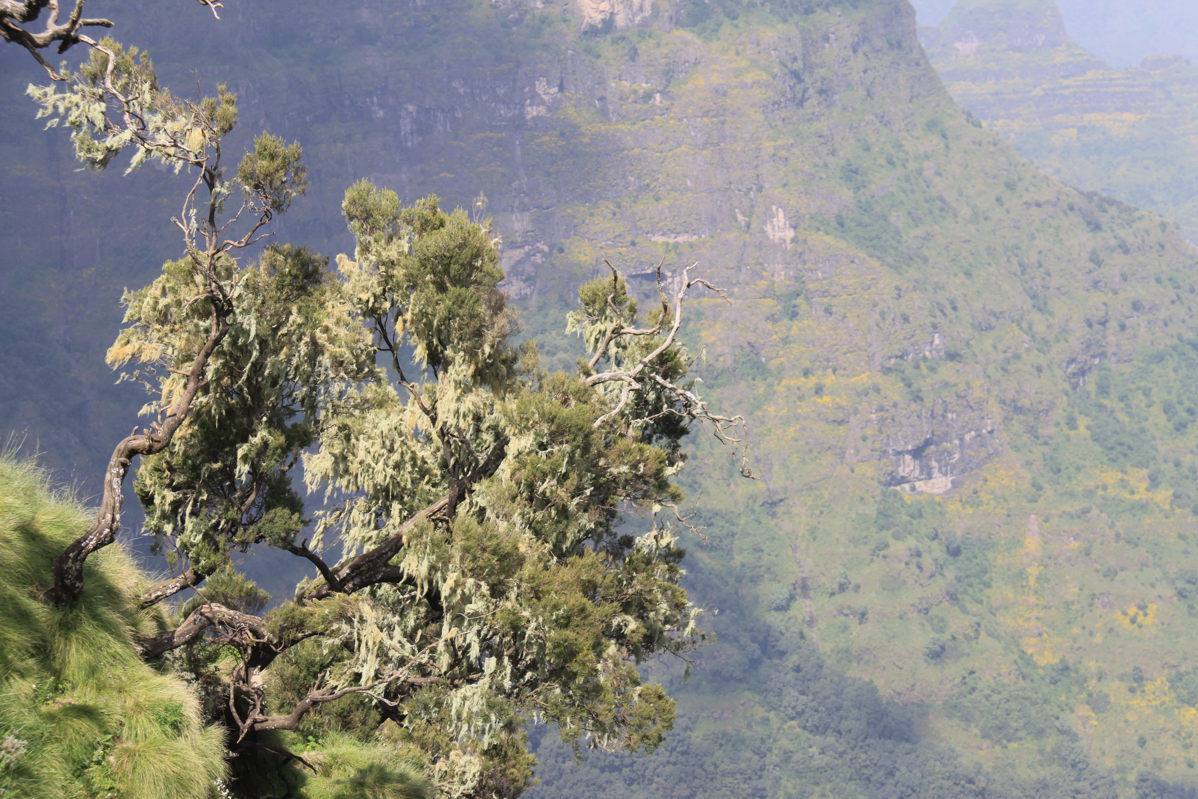 Aeth_2018_Tag05_0023