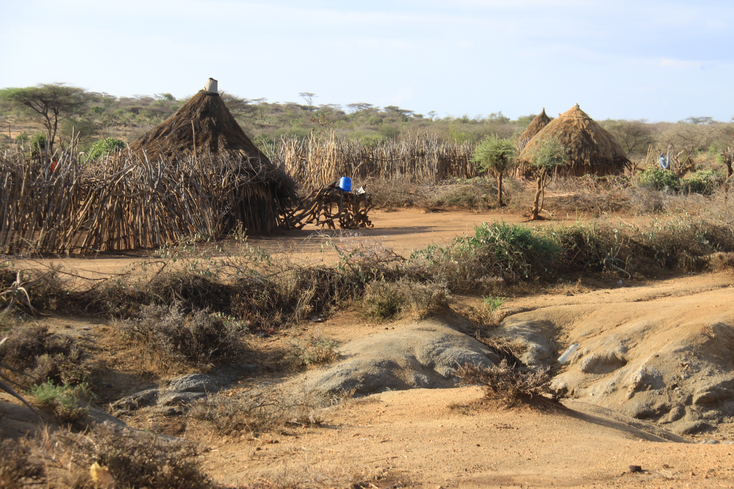 Aeth_2018_Tag15_0071