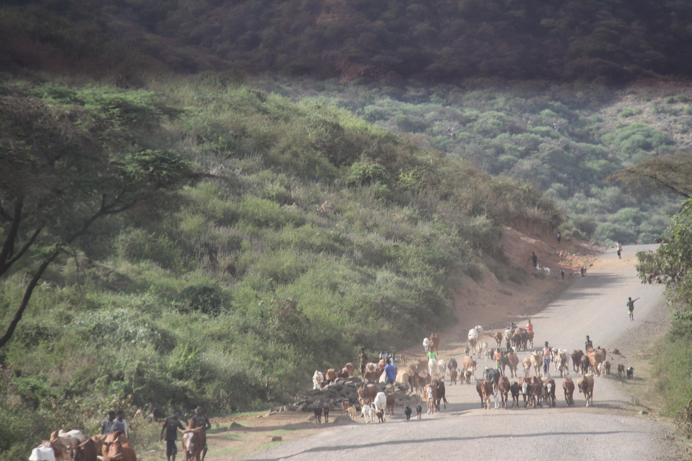 Aeth_2018_Tag16_0049