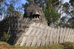 Aeth_2018_Tag17_0098