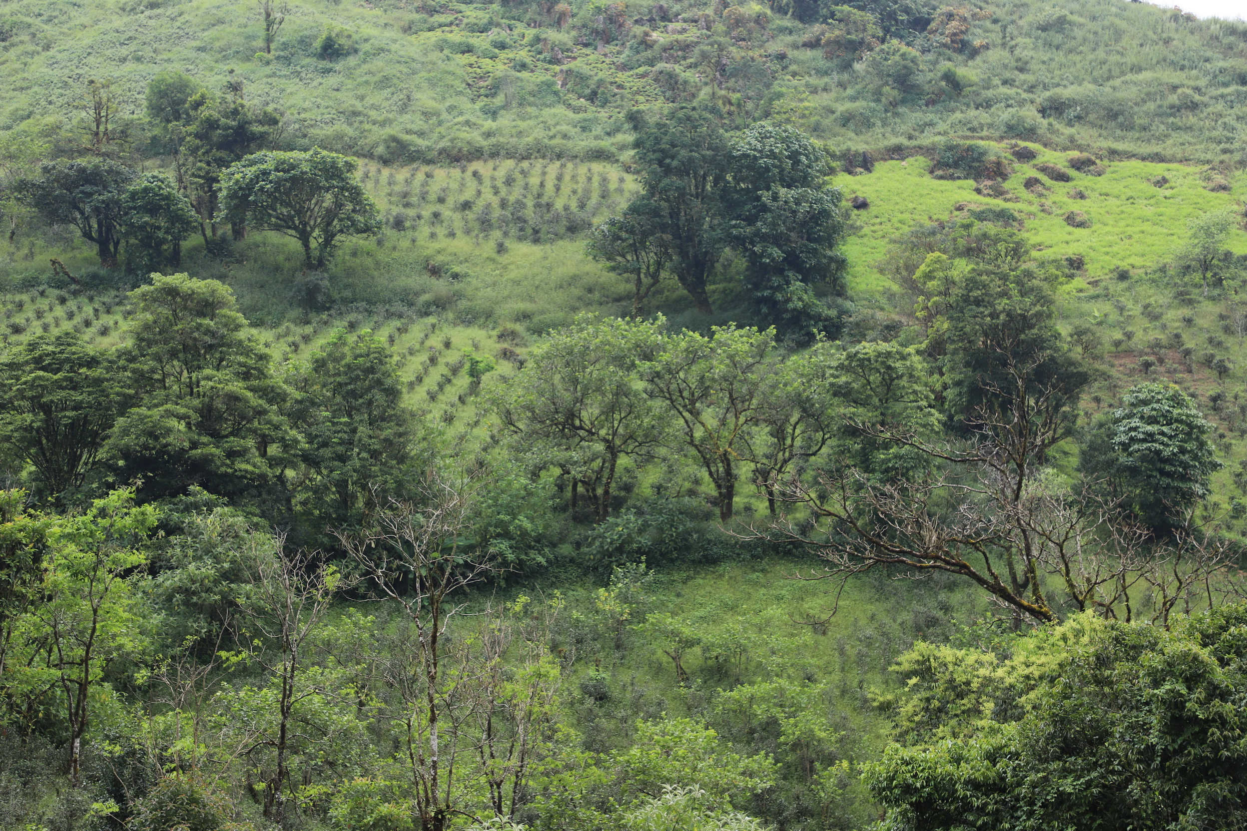 MMR_Tag03_20191105_042