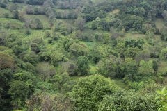 MMR_Tag03_20191105_020