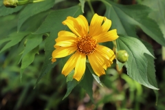 MMR_Tag06_20191108_006