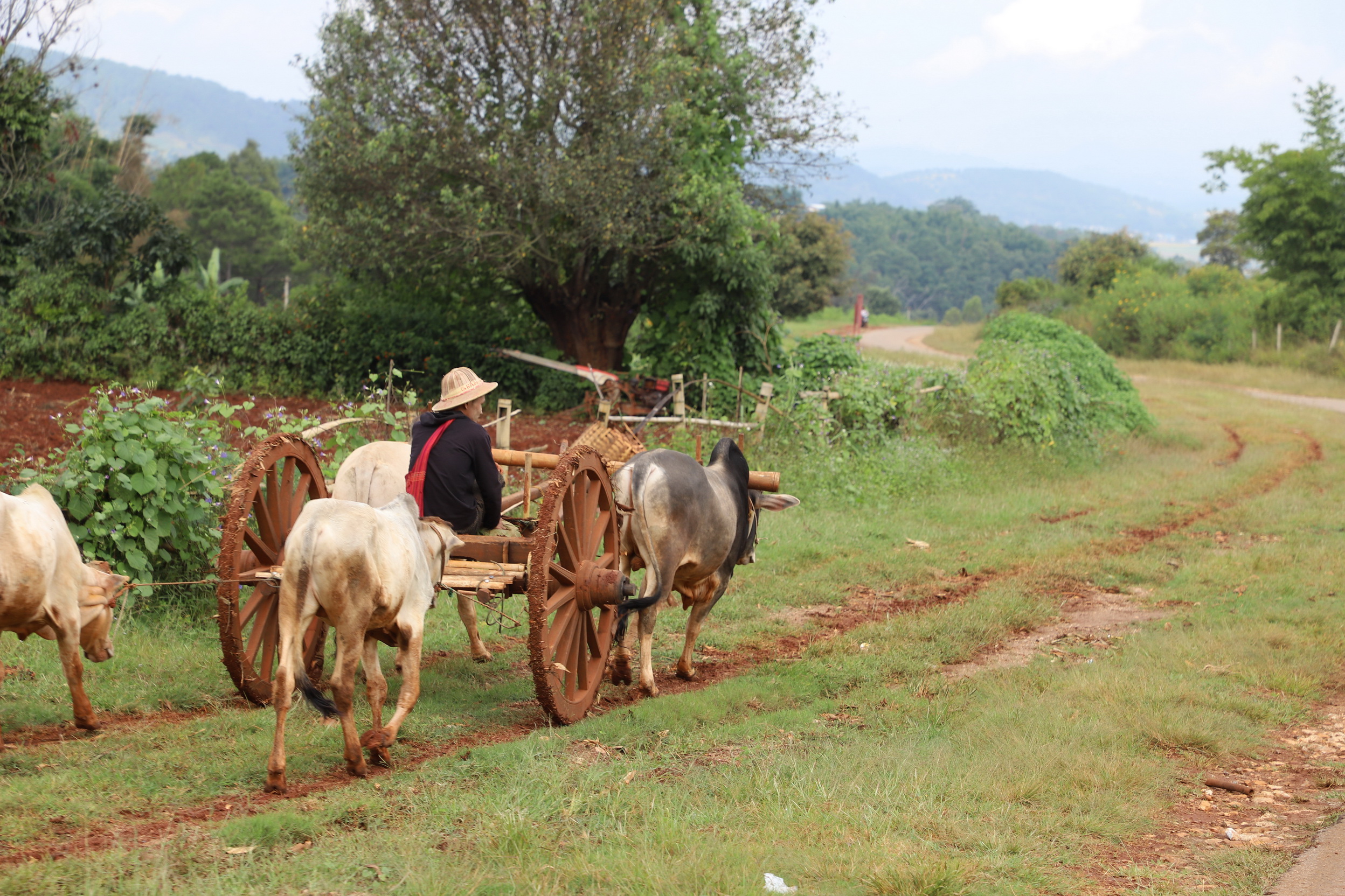 MMR_Tag07_20191109_003