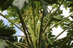 MMR_Tag07_20191109_009