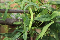 MMR_Tag07_20191109_010