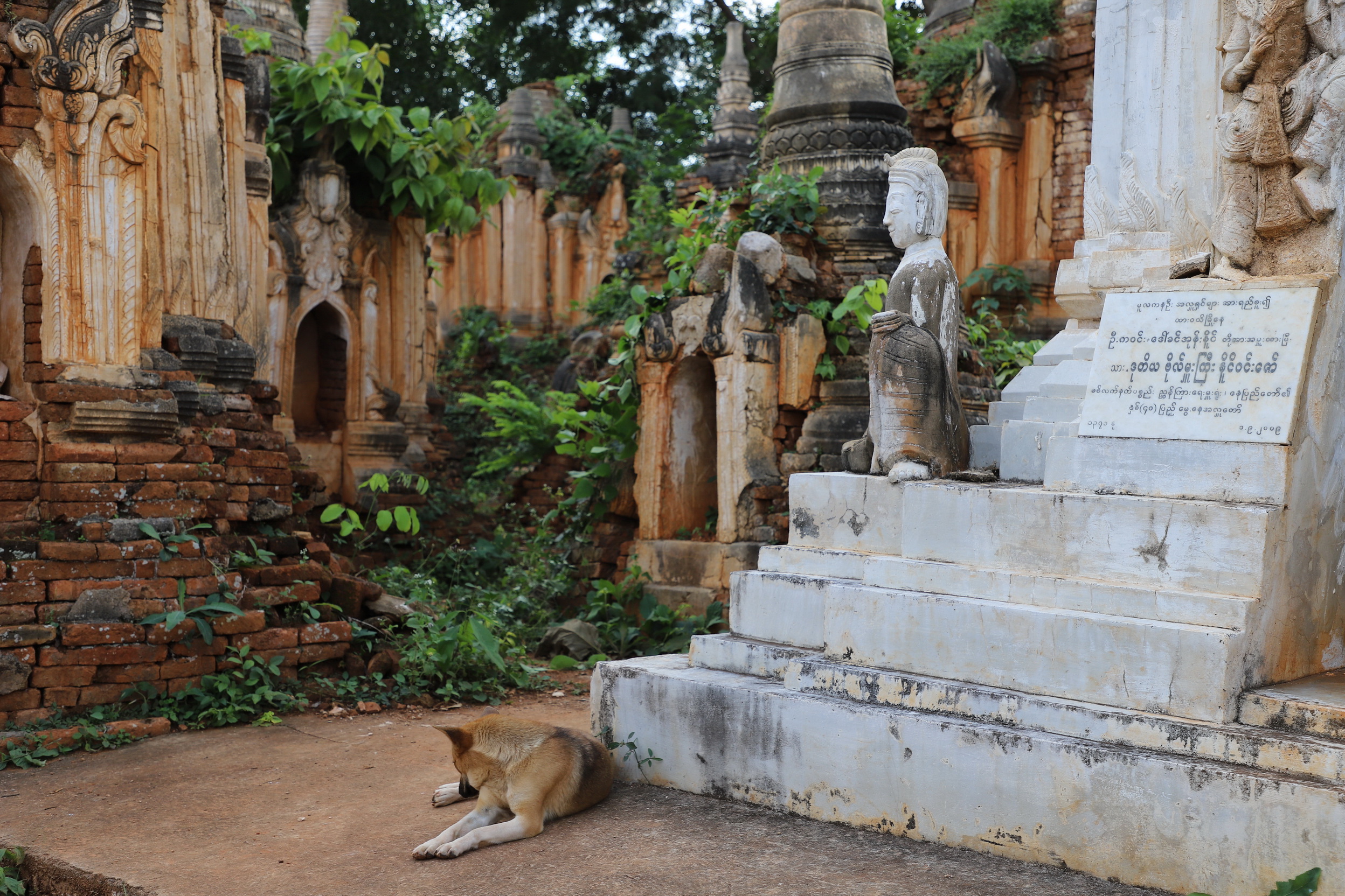 MMR_Tag08_20191110_052