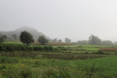 MMR_Tag08_20191110_014