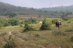 MMR_Tag08_20191110_018