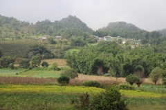 MMR_Tag08_20191110_019