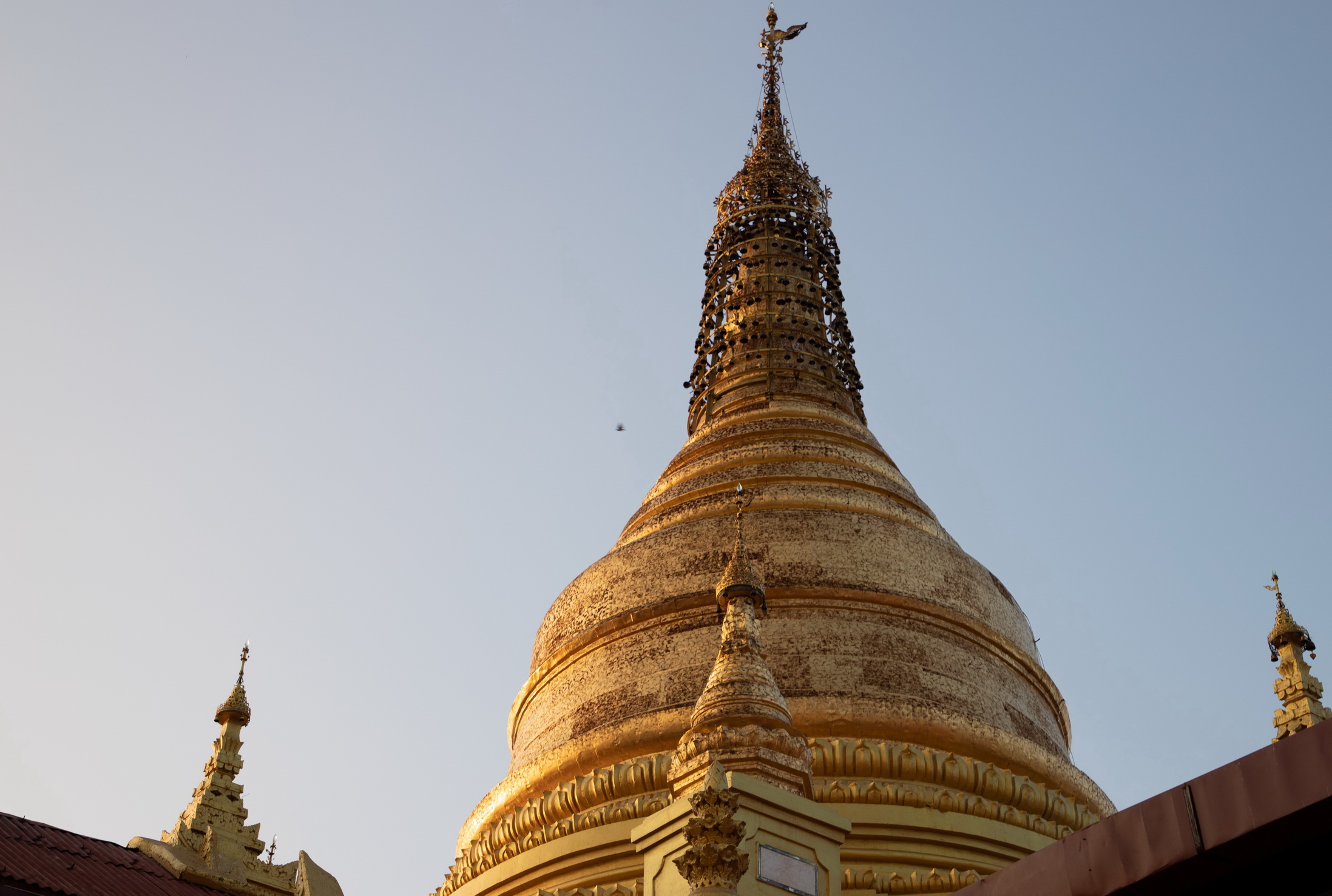 MMR_Tag10_20191112_093