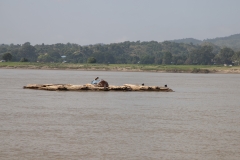 MMR_Tag11_20191113_005