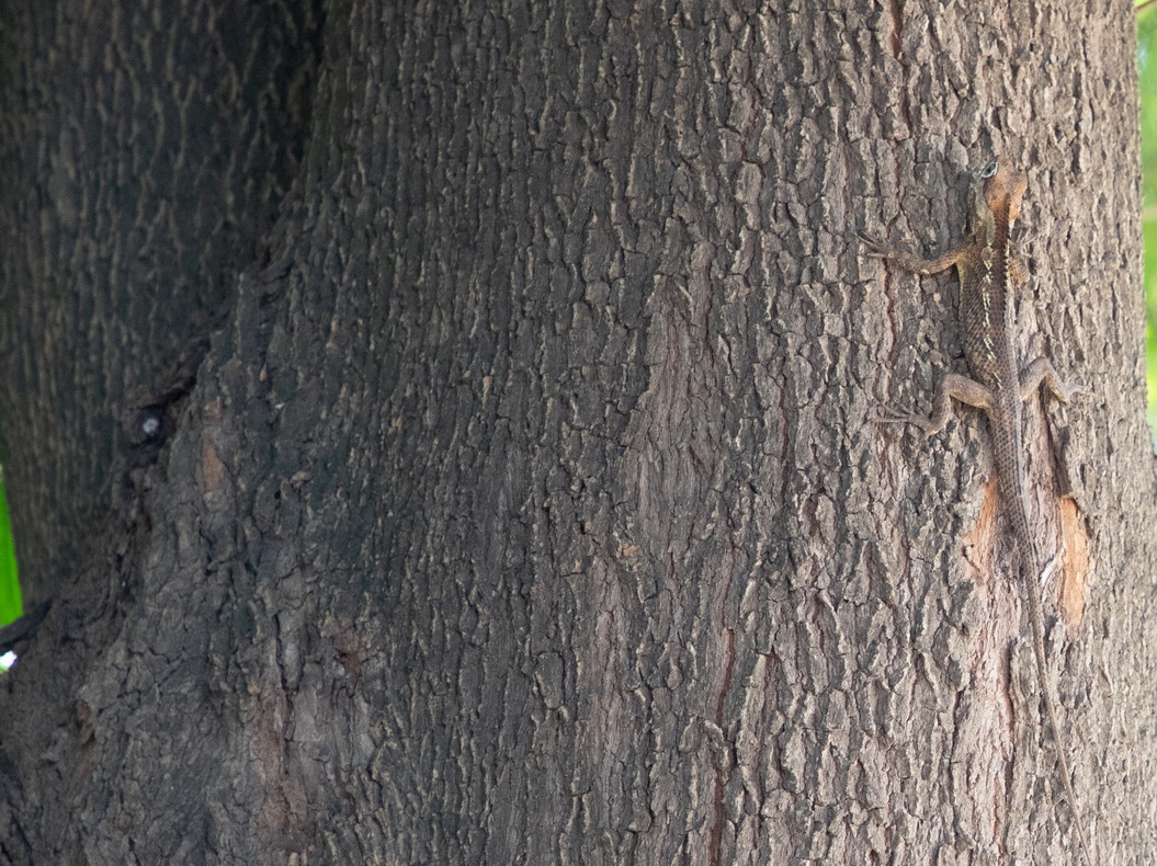 MMR_Tag12_20191114_042